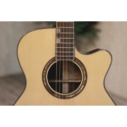 Fonzo V-201S OM Cutaway